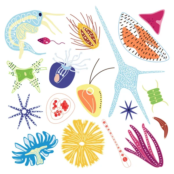 Microorganismes du plancton marin série d'illustrations vectorielles plates isolés . — Image vectorielle
