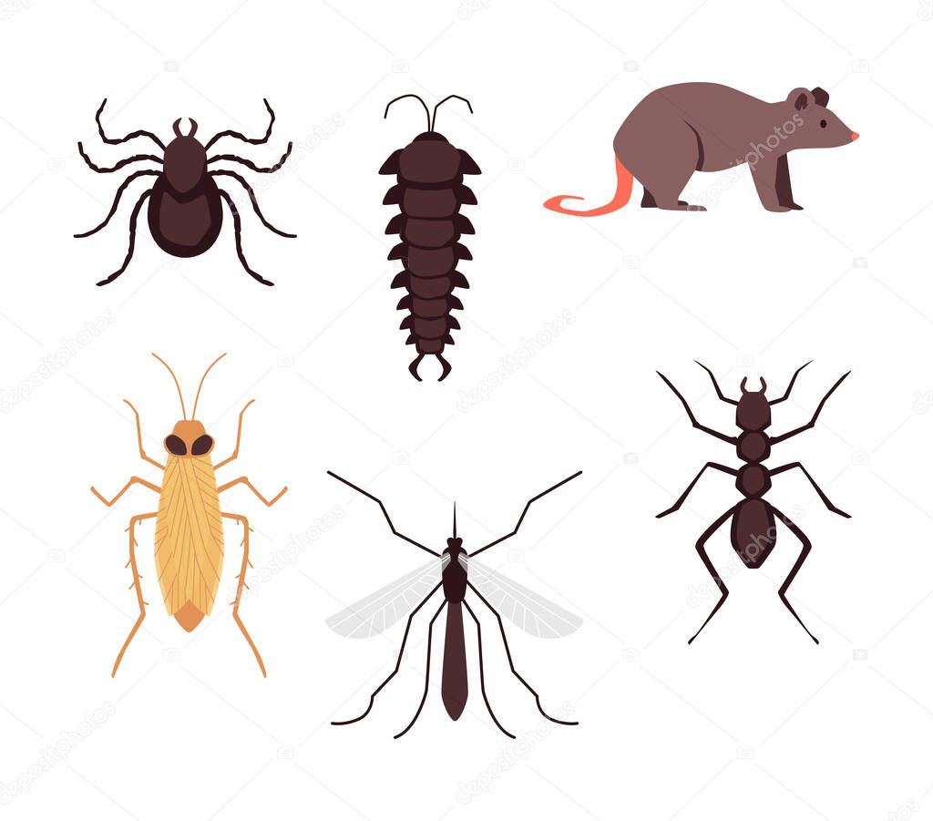 Set of pests insects and rodents icons, flat vector illustration isolated.
