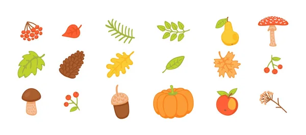 Coleção de outono com folhas e cogumelos ilustração vetorial plana isolada. — Vetor de Stock