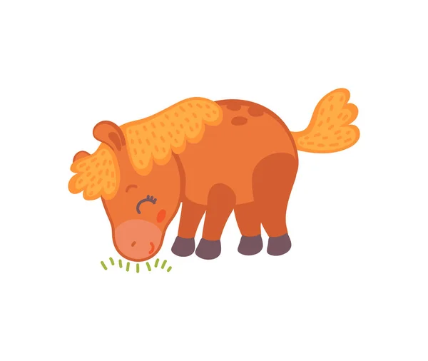 잔디를 좋아하는 만화인 갈색 말을 먹고 있는 귀여운 아기 말 — 스톡 벡터