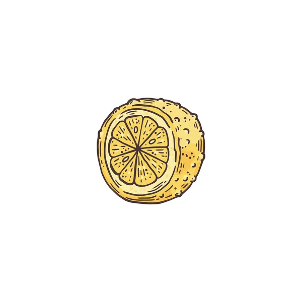 Gehele citroen licht gesneden citroen, schets vector illustratie geïsoleerd. — Stockvector