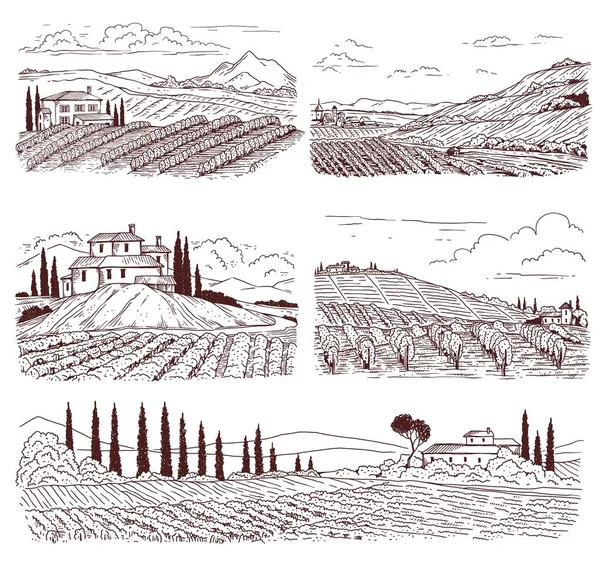 Viñedo paisajes conjunto de ilustraciones de vectores de línea negra dibujados a mano aislados. — Vector de stock