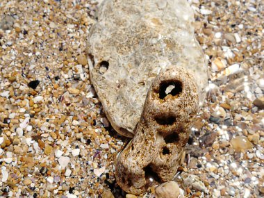 mutlu taş sahilde deniz yüzeyindeki döşeme arka plan. bir delikle taş. taş tavuk Tanrı