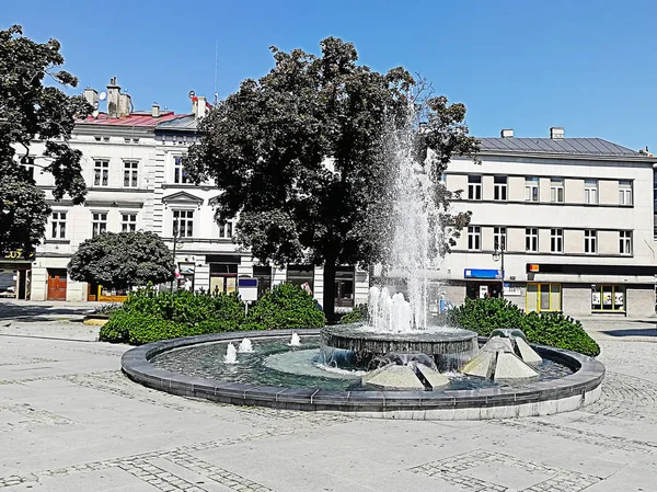 美丽的喷泉与树木和房屋在普雷泽米塞尔市中心 可以作为背景使用 — 图库照片