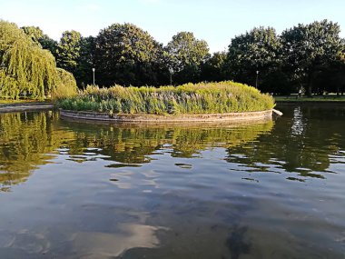 Varşova, Polonya için bir parkta güzel ağaçlar ile şeffaf su birikintisi