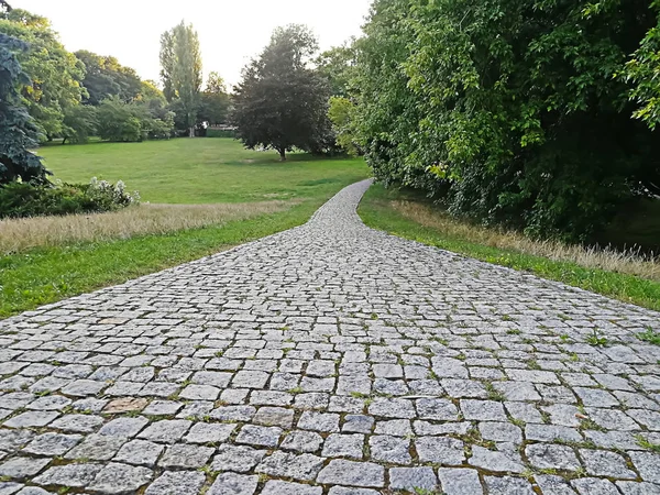 stony road with grass and trees in a park in Warsaw, Poland