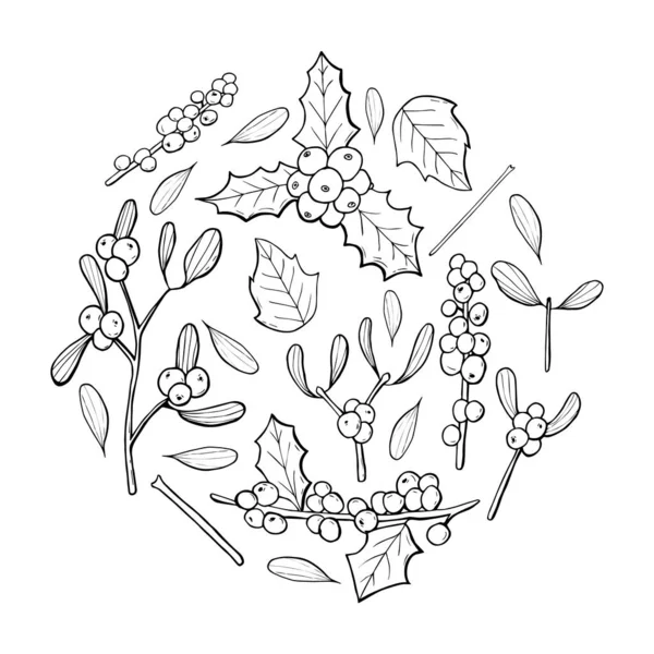 Circle Made Mistletoe Vector Holly Vector — Stock Vector