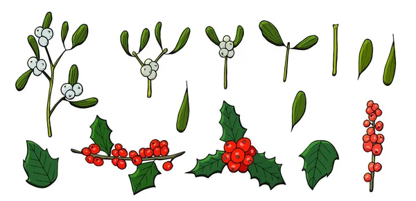 Colored Christmas Set Vector Consists Mistletoe Holly — Stock Vector