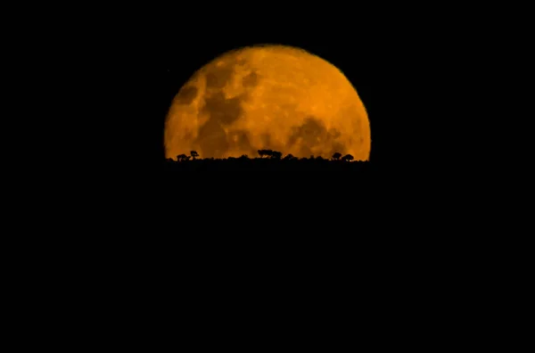 Luna Llena Cielo Nocturno Imágenes De Stock Sin Royalties Gratis