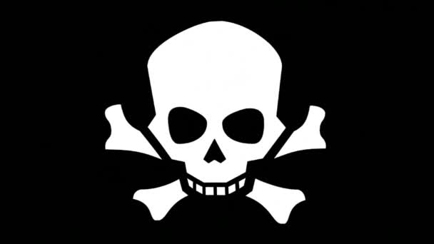 Pirates Flag Symbol Piracy Death — Stock Video