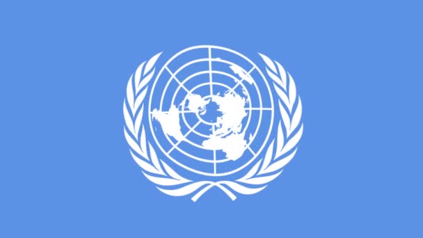 Naciones Unidas Onu Bandera Organización — Vídeos de Stock
