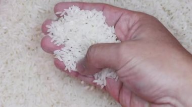 Pirinç taneleri tutan kişi