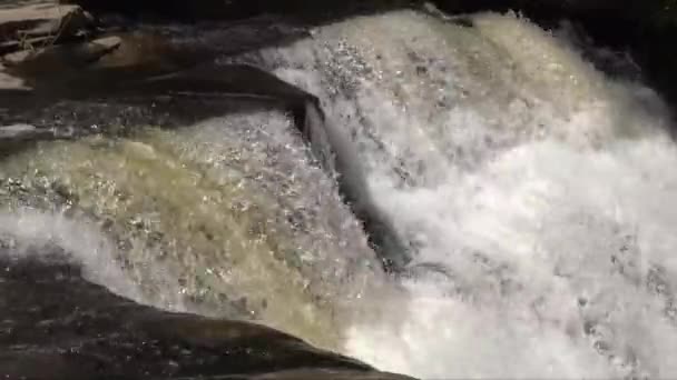 Rushing Waterfall Small River Amongst Nature — Stock Video