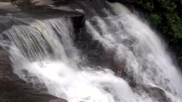 Rauschender Wasserfall Und Kleiner Fluss Inmitten Der Natur Lizenzfreies Stock-Filmmaterial