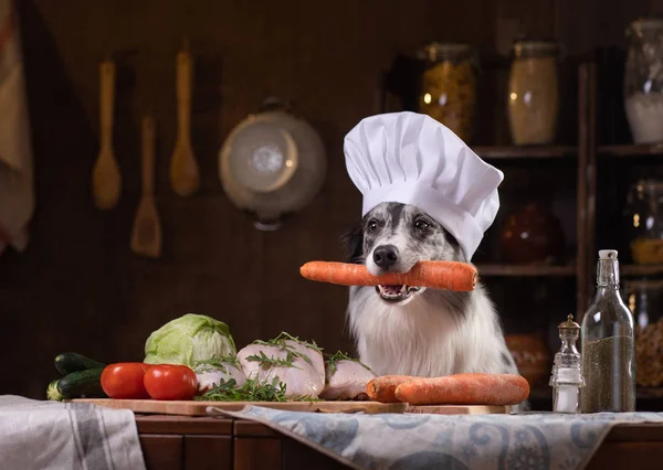 sebze ile mutfakta köpek. Hayvanlar için beslenme, doğal gıda. Bir Pişirme Şapkası Sınır Collie
