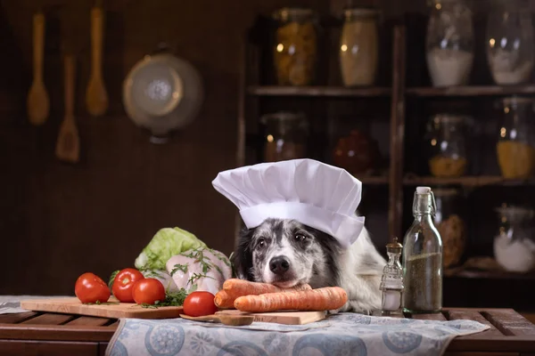 Chien dans la cuisine avec des légumes. Nutrition pour les animaux, aliments naturels. Border Collie dans un chapeau de cuisine — Photo