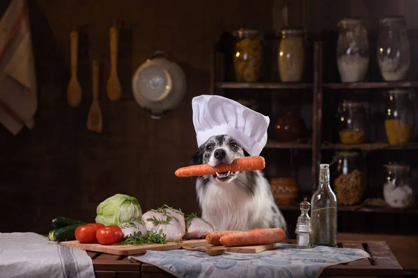 Pies w kuchni z warzywami. Żywienie zwierząt, żywność naturalna. Border Collie w kapeluszu gotowania — Zdjęcie stockowe