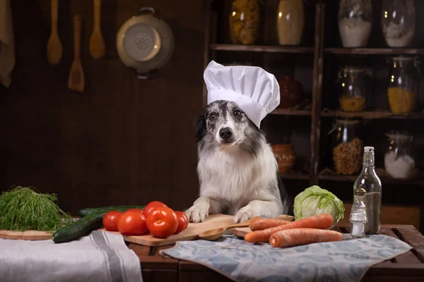 dog in the kitchen with vegetables. Nutrition for animals, natural food. Border Collie in a Cooking Hat