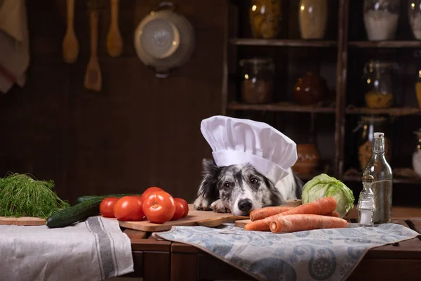 Chien dans la cuisine avec des légumes. Nutrition pour les animaux, aliments naturels. Border Collie dans un chapeau de cuisine — Photo