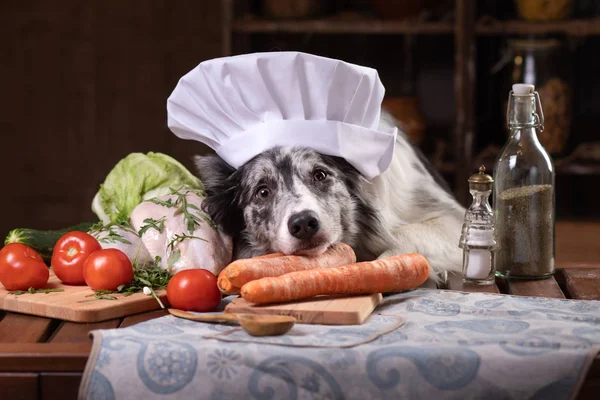 Hund in der Küche mit Gemüse. Nahrung für Tiere, natürliche Nahrung. Border Collie mit Kochmütze — Stockfoto