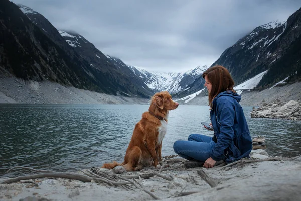 Женщина с собакой на озере в горах. Путешествует с домашним животным. Новая Шотландия Дак Толлинг ретривер — стоковое фото