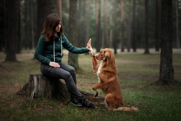 森の中に犬を飼ってる女の子自然の中でペットと一緒に歩く,従順に,所有者 — ストック写真