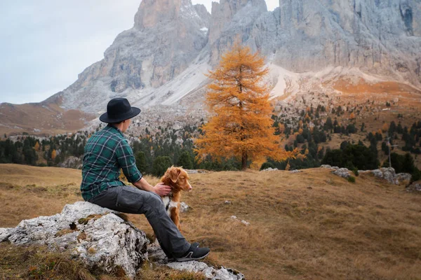 man with a dog in the mountains valley. autumn mood. Nova Scotia Duck Tolling Retriever with a people. men in a plaid shirt and hat