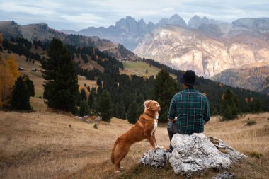Dağlardaki vadide köpekli şapkalı bir adam. Nova Scotia Duck Tolling Retriever. # Erkekler kayalıklarda otururlar #