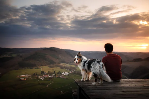 Ein Mann mit Hund bei Sonnenuntergang. Spaziergang mit einem Haustier. Australian Shepherd und Besitzer in der Natur — Stockfoto