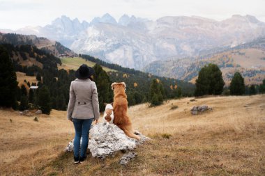Dağlarda köpeği olan biri. Seyahat, evcil bir hayvanla yürüyüş. Nova Scotia Retriever bir kızla.
