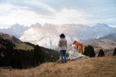 Dağlarda köpekli kadınlar. Seyahat, evcil bir hayvanla yürüyüş. Toller Retriever bir kızla.