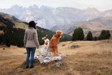 Dağlarda köpekli kadınlar. Seyahat, evcil bir hayvanla yürüyüş. Toller Retriever bir kızla.