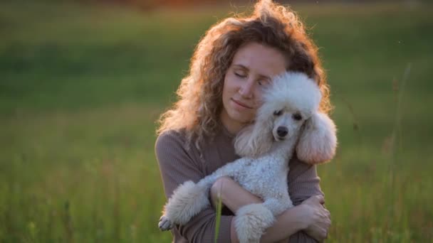 Mujeres con el pelo rizado y dos caniches en un campo al atardecer. Lindas mascotas y su dueño — Vídeo de stock