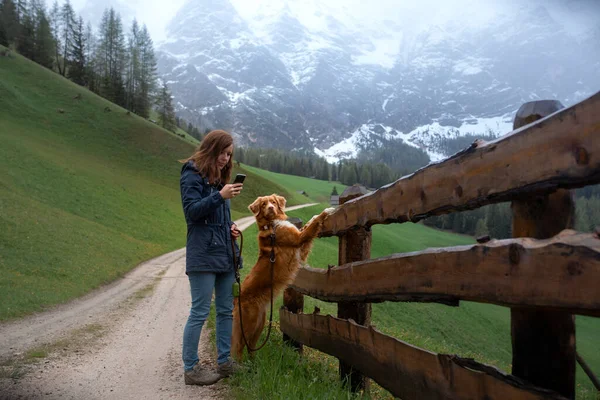 Ragazza e cane in montagna. Comunicazione con un animale domestico. Nuova Scozia Duck Tolling Retriever con un uomo — Foto Stock