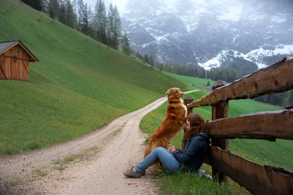 Rapariga e cão nas montanhas. Comunicação com um animal de estimação. Nova Escócia Duck Tolling Retriever com um homem — Fotografia de Stock