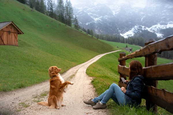 Lány és kutya a hegyekben. Kommunikáció egy háziállattal. Új-Skócia Duck Tolling retriever egy férfival — Stock Fotó