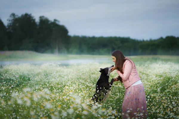 Fata si cainele pe un camp de margarete. Relația, prietenia cu un animal de companie — Fotografie, imagine de stoc