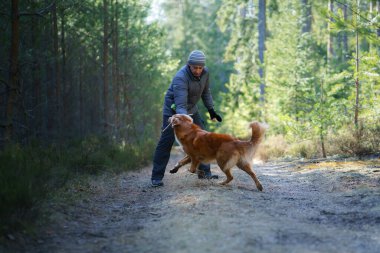 Adam köpekle oynuyor. Evcil hayvanınla yürüyorsun. Nova Scotia Duck Tolling Retriever doğada
