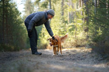 Adam köpekle oynuyor. Evcil hayvanınla yürüyorsun. Nova Scotia Duck Tolling Retriever doğada