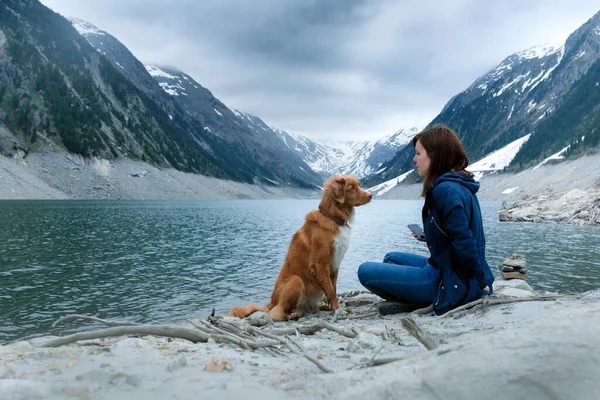 Собака на горном озере. New Scotia Duck Tolling Retriever in a mystical place — стоковое фото