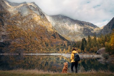 Köpekle seyahat ediyorum. Sonbaharda bir kız ve bir köpek bir dağ gölünün yanında durur.
