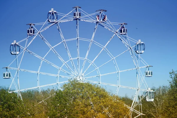 Grande Roue Contre Ciel Bleu Les Arbres — Photo