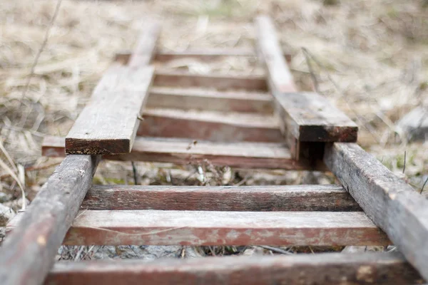 Çimenlerin üzerinde eski ahşap merdiven