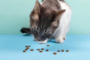 Bir kalp şeklinde kedi maması
