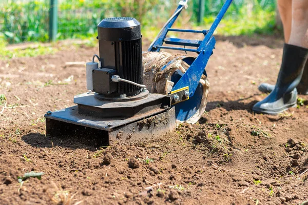 A man plows the ground in the garden with an electric cultivator.