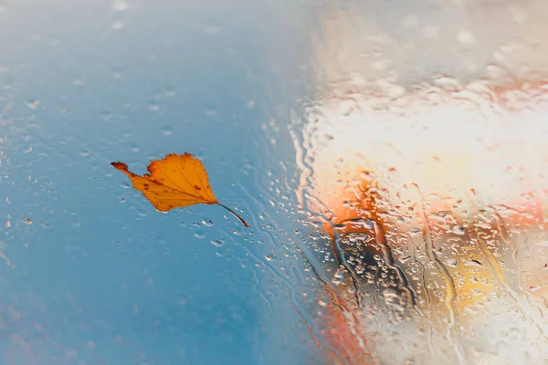 Žlutý podzimní list a kapky deště na Glas — Stock fotografie