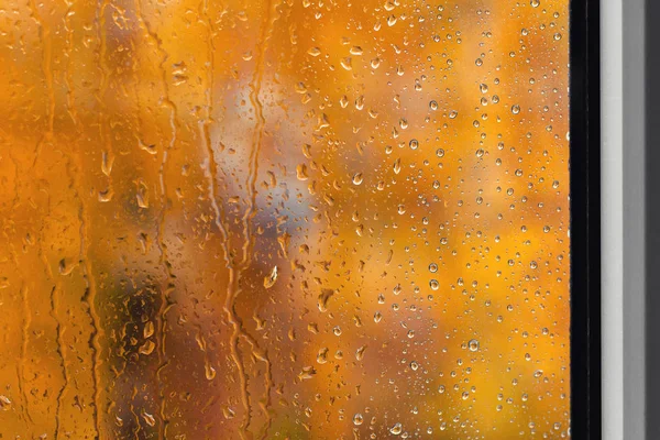 Regentropfen am Fenster und orangefarbenes Herbstlaub draußen — Stockfoto