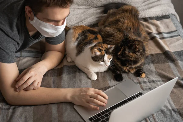 The man is working on a laptop on the bed, and the cats are lying next to him and watching. Remote work.