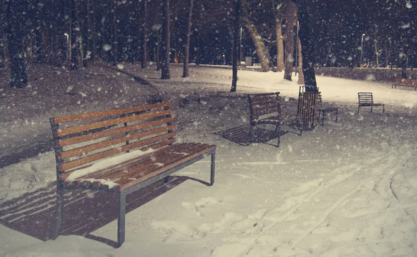 Parkban Egy Tél Nap Csendes Este — Stock Fotó
