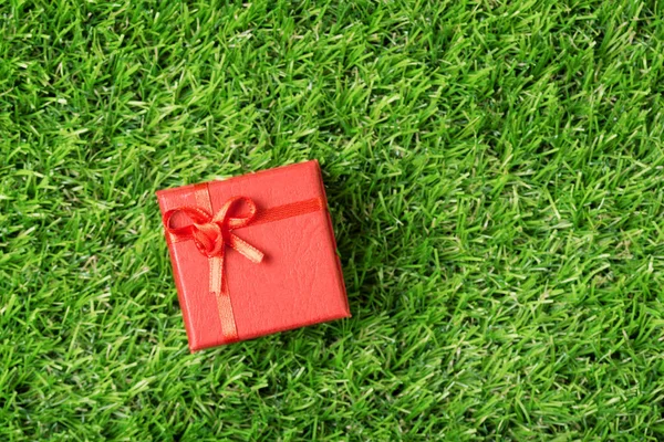 Czerwone Pudełko Zielonej Trawie Górnej Części Widoku — Zdjęcie stockowe